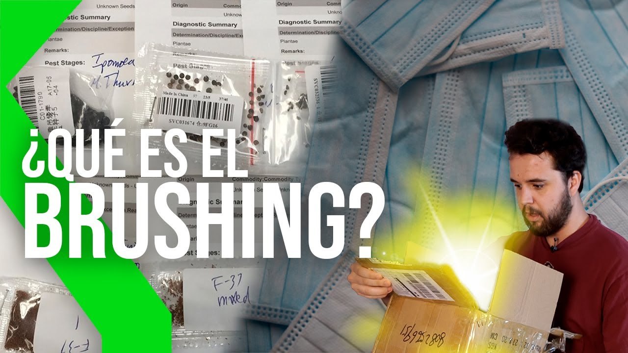ROBO DE DATOS y PAQUETES NO SOLICITADOS  QUÉ es el BRUSHING