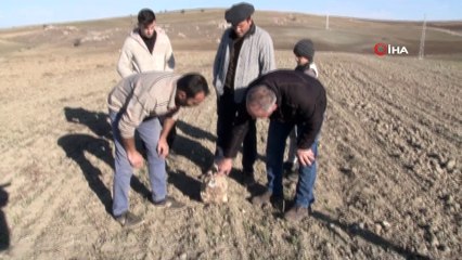 Türkiye’nin 3. büyük göktaşına Amerika’dan talipli çıktı