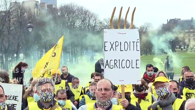 Suicides, dépôts de bilan: des agriculteurs manifestent à Paris