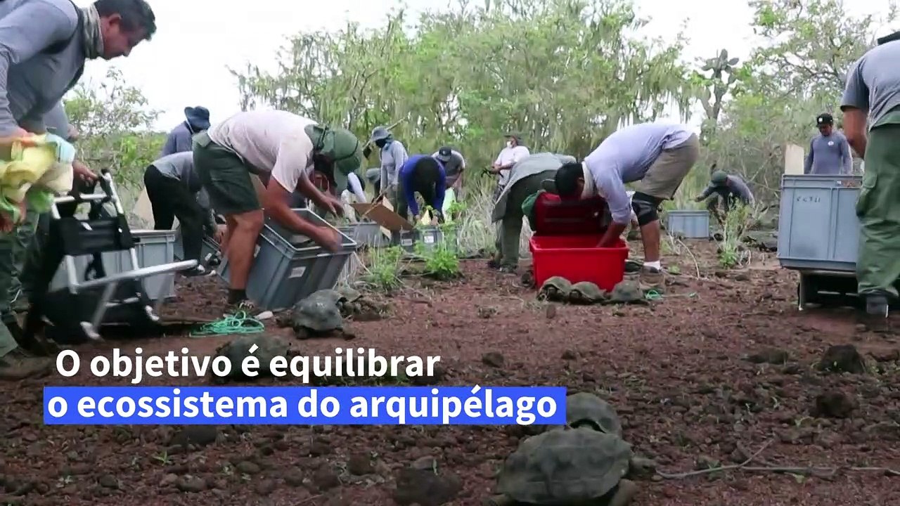 Entre as ilhas de Galápagos