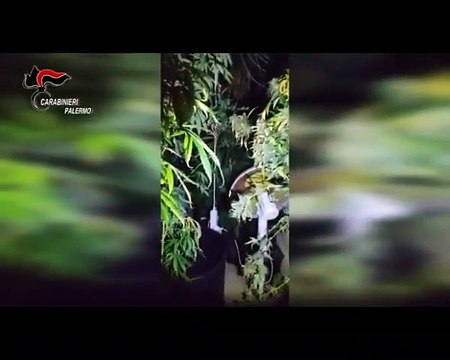 Palermo - Droga, scoperta banda di trafficanti 14 arresti (04.03.21)