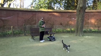 بلجيكيون يطالبون العائلة المالكة في بلجيكا بفتح حدائق القصر المغلقة أمام العامّة