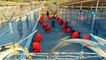 Guantanamo: Das umstrittenste Gefängnis der Welt