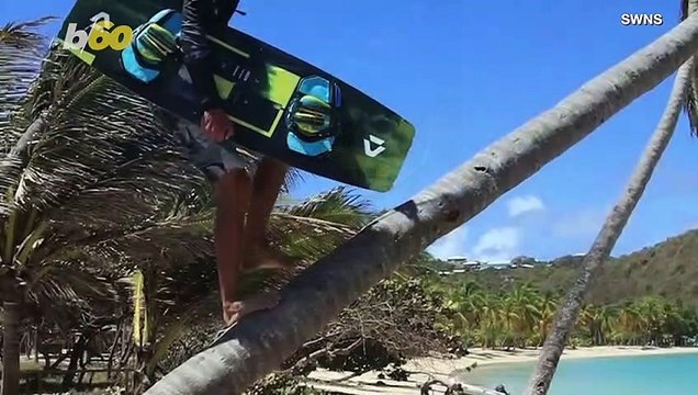Insane Video Shows Kitesurfer Launching Himself From a Coconut Tree