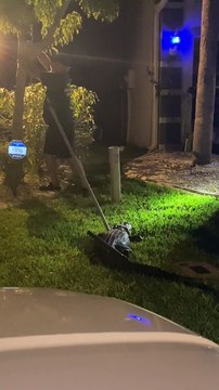 Ce qu'il sort du garage de cette maison à Fort Myers en Floride est incroyable : alligator de 5m de long