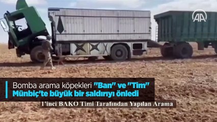 Bomba arama köpekleri "Ban" ve "Tim" Münbiç'te büyük bir saldırıyı önledi