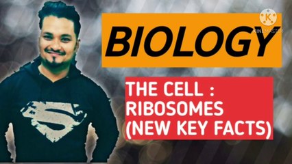BIOLOGY THE CELL : RIBOSOMES EXPLAINED.