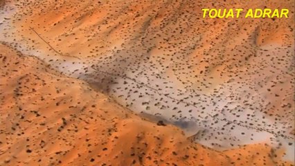 صحراء الجزائر تيميمون  تمنراست Algeria Sahara Timimoun Tasili