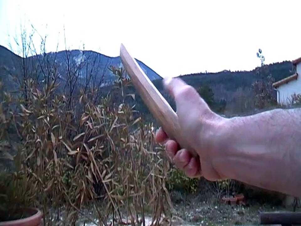 Hontegyakutemakimochi