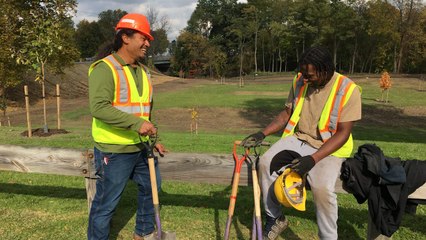 New Tree Planting Program Will Employ Community Members