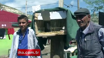 Kuşu kurtarmak isterken kollarını kaybetmişti! Bakın ne dedi!