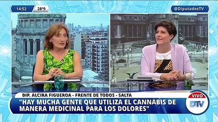 La diputada Alcira Figueroa analiza el proyecto de ley para producir cannabis con fines medicinales
