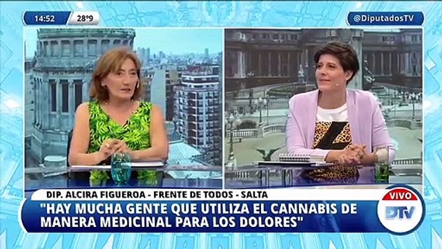 La diputada Alcira Figueroa analiza el proyecto de ley para producir cannabis con fines medicinales