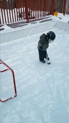 Toddler Practicing His Hockey Goals