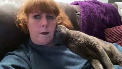 Cuddly Kitty Craves Attention
