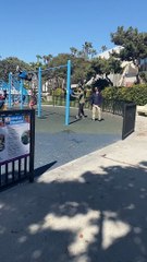 Toddler Hasn't Figured Out How To Swing