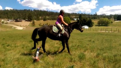 Bella Wee Bit O' Jumping