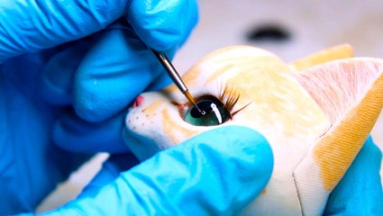 Artist creates humanlike cat dolls