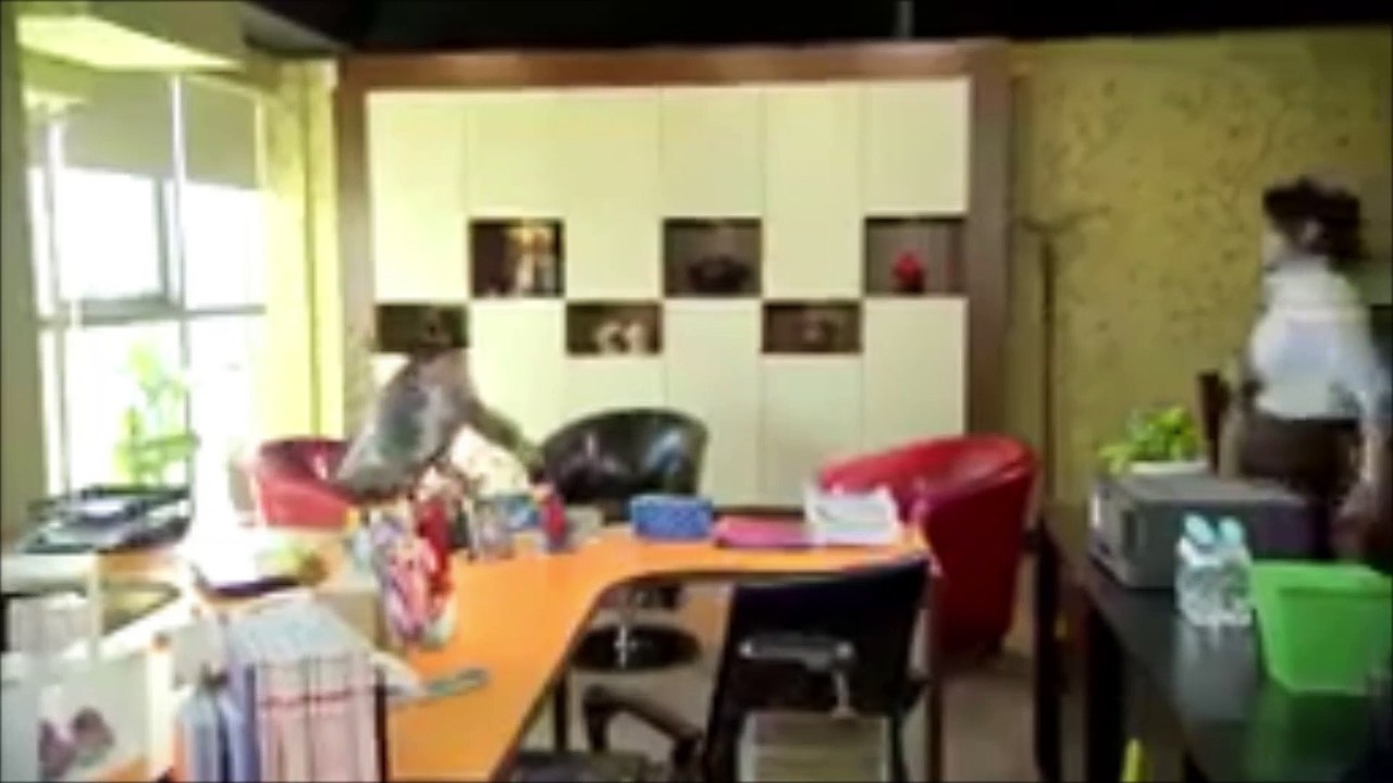 Chicas de oficina capitulo 7 parte 1