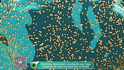 Download Video: Cientistas descobrem coinfecção por duas variantes do novo coronavírus no Brasil