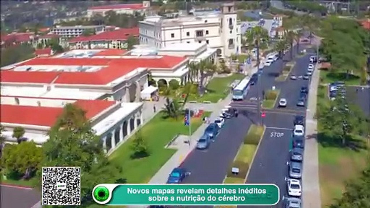 Novos mapas revelam detalhes inéditos sobre a...