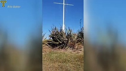 Nueva Zelanda anula orden de evacuación por tsunami tras sismo en el Pacífico