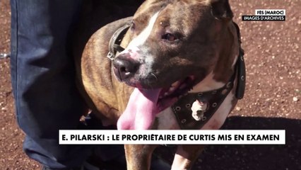 Elisa Pilarski : le propriétaire de Curtis mis en examen
