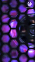 gunaho ki adat kaise chode | peer zulfiqar ahmad naqshbandi db