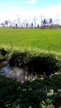 #wala lang Gusto ko lang mag video