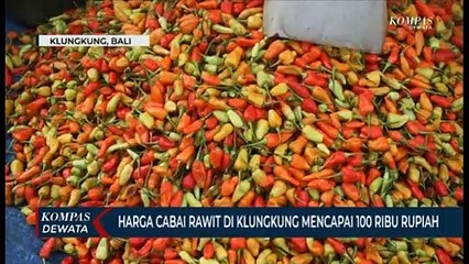 Harga Cabai Rawit Makin Pedas Hingga Seratus Ribu Per Kilo