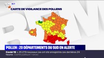 20 départements du sud de la France placés en alerte rouge au pollen