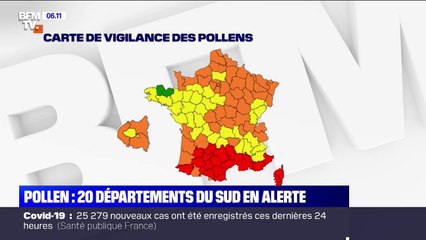 20 départements du sud de la France placés en alerte rouge au pollen