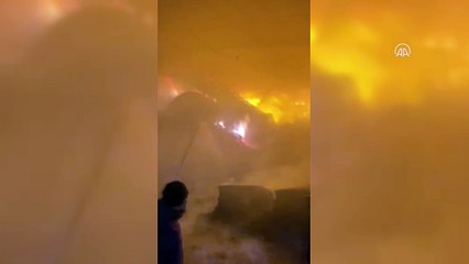 KIRKLARELİ - Hayvan çiftliğinde çıkan yangına müdahale ediliyor