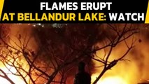 Bengaluru: Fire breaks out at Bellandur lake, fire personnel rush to the spot| Oneindia News