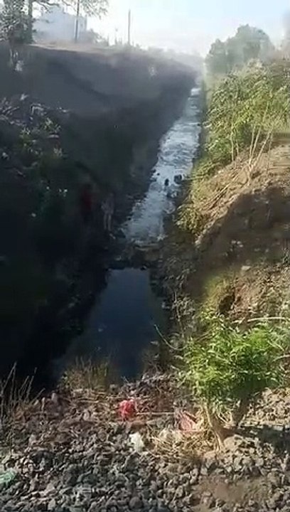 गहरी नहर में गिरी गाय गौरक्षा सेना ने सुरक्षित...