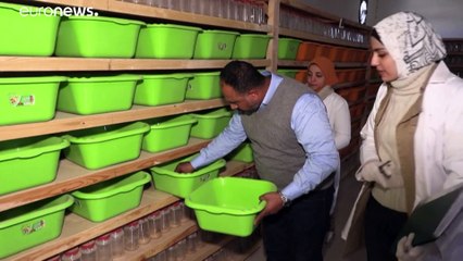 شاهد. مهندس يترك مجاله ويتفرغ للبحث عن سم العقارب في صحراء مصر