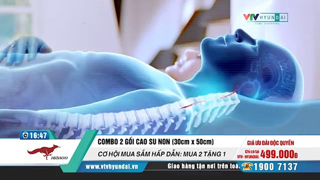 VTVHYUNDAI Combo 2 gối cao su non HAHOO