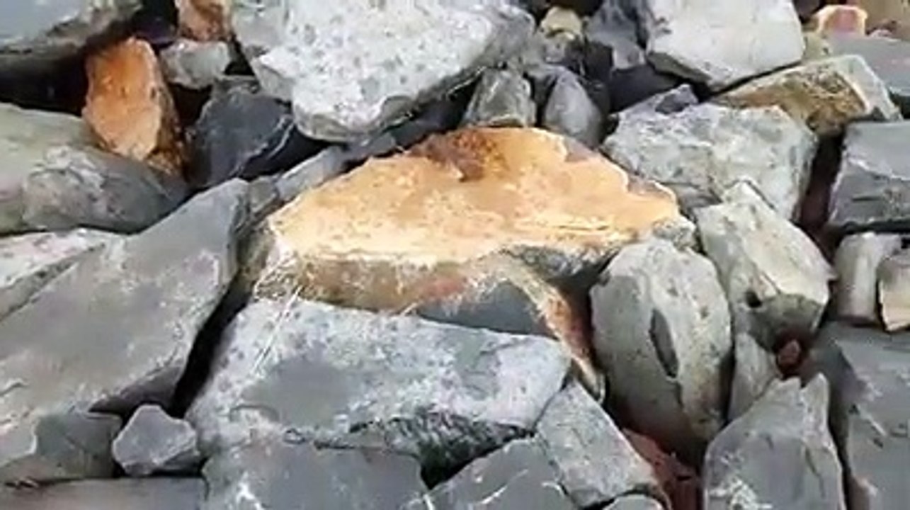 beautiful sea beach