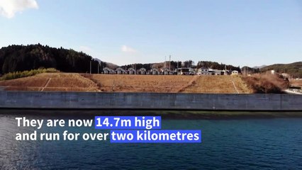 The towering sea wall legacy of Japan's 2011 tsunami