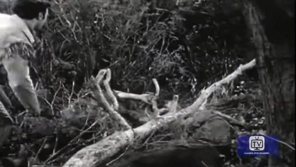 Adventures of Jim Bowie - Season 1 - Episode 11 - Land Jumpers | Scott Forbes, William Schallert