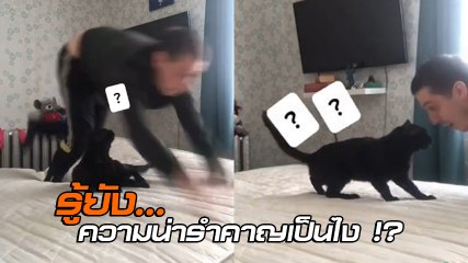 โคตรฮา ! หนุ่มลองเป็นแมว 1 วัน เอาคืนเหมียวจอมซน จะได้รู้บ้างความน่ารำคาญเป็นไง ?