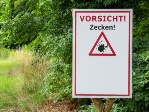 Fünf neue Risikogebiete: Zecken breiten sich immer weiter aus