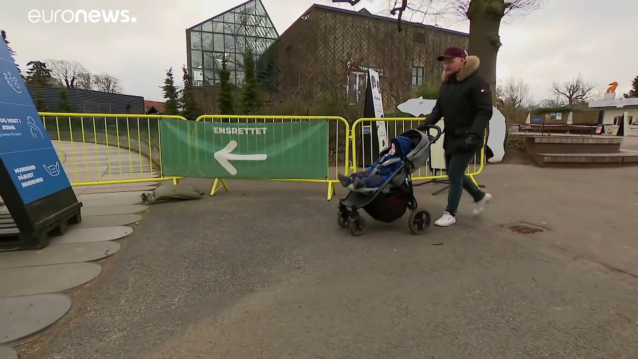 Coronapause beendet - Kopenhagener Zoo öffnet wieder