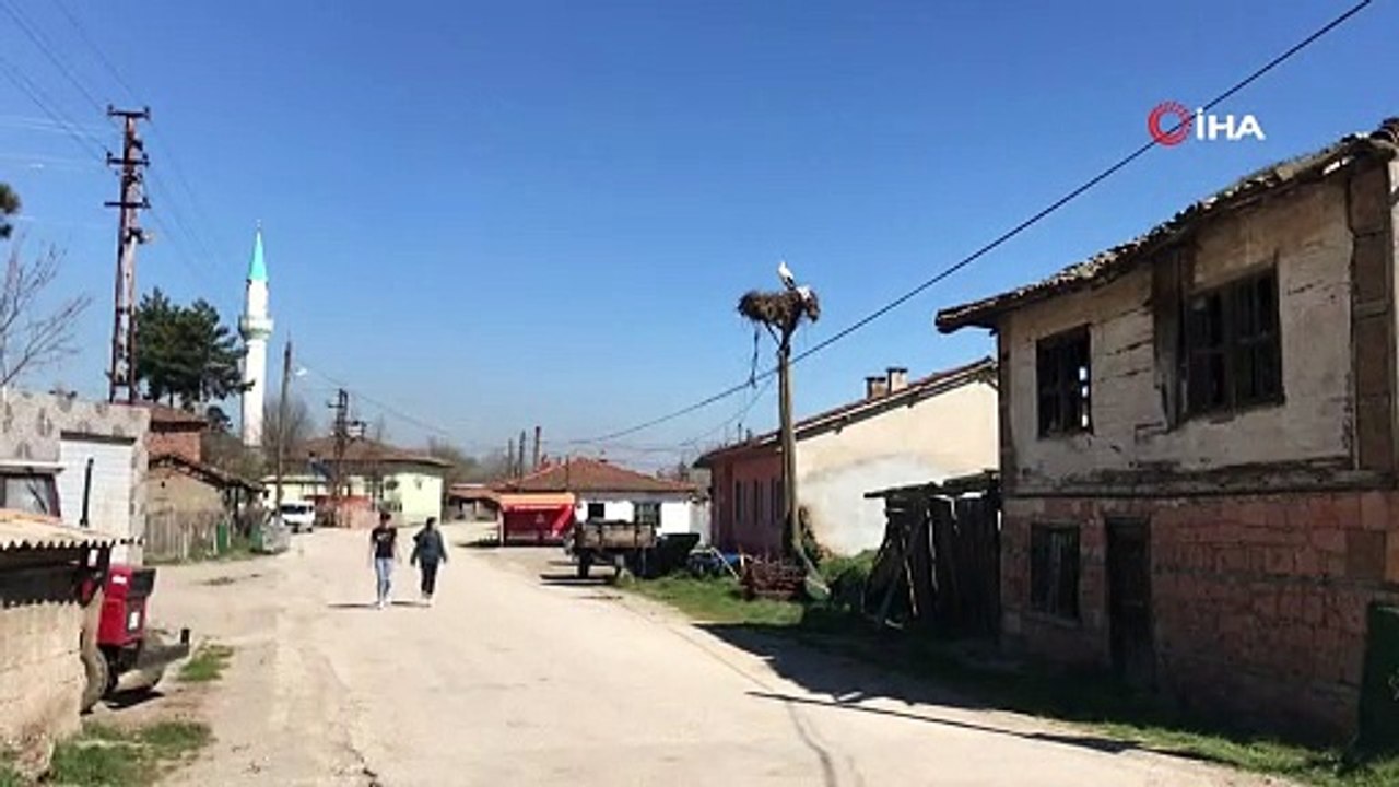 Çanakkaleye yılın ilk leyleği geldi