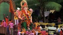Incredible India stock footage - the best of India