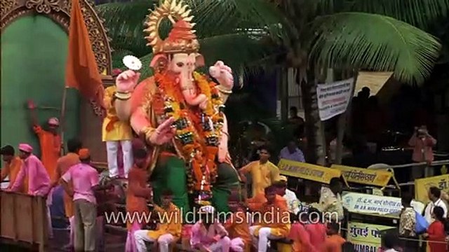 Incredible India stock footage - the best of India