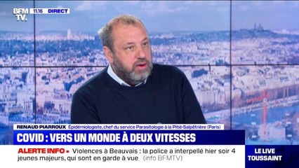 Pour l'épidémiologiste Renaud Piarroux, "si on ne se bat pas tout l'été, il n'y a aucune raison que l'épidémie ne reprenne pas"