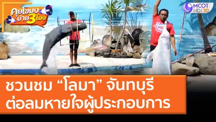 ชวนชม “โลมา” จันทบุรี ต่อลมหายใจผู้ประกอบการ (5 มี.ค. 64) คุยโขมงบ่าย 3 โมง | 9 MCOT HD