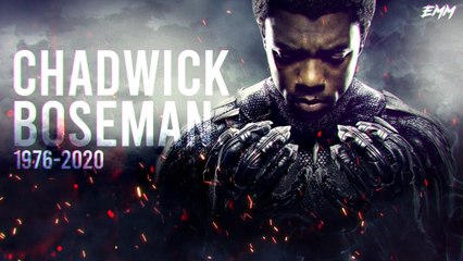 BLACK PANTHER Tribute (2020) R.I.P. Chadwick Boseman