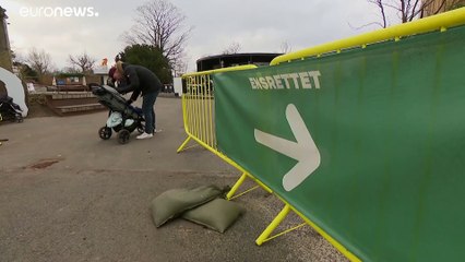 Дания: вход в зоопарки с тестом на COVID-19